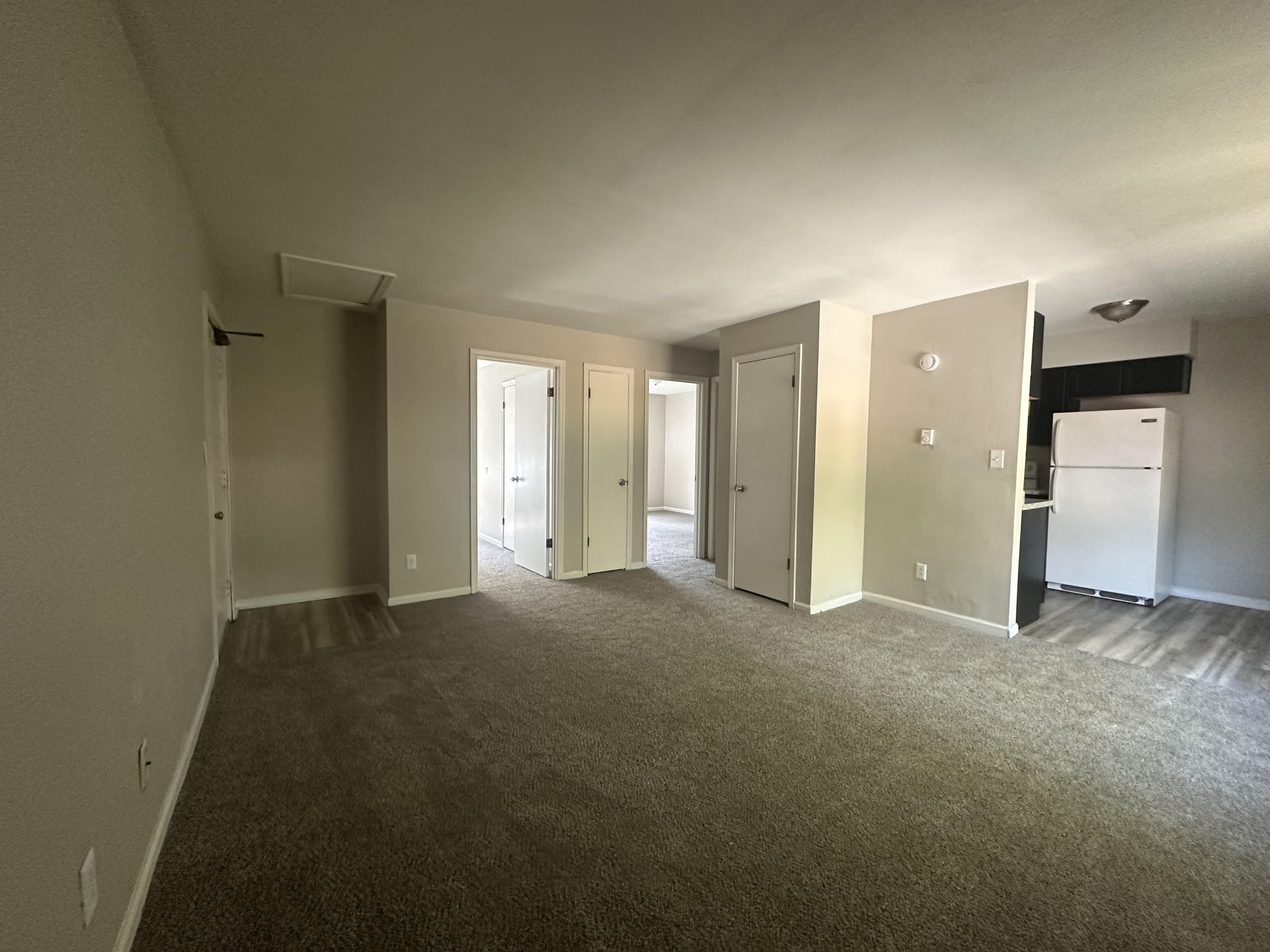 1436 Picadilly Street - J